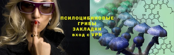 круглые Ельня