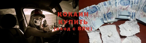 стафф Дмитровск